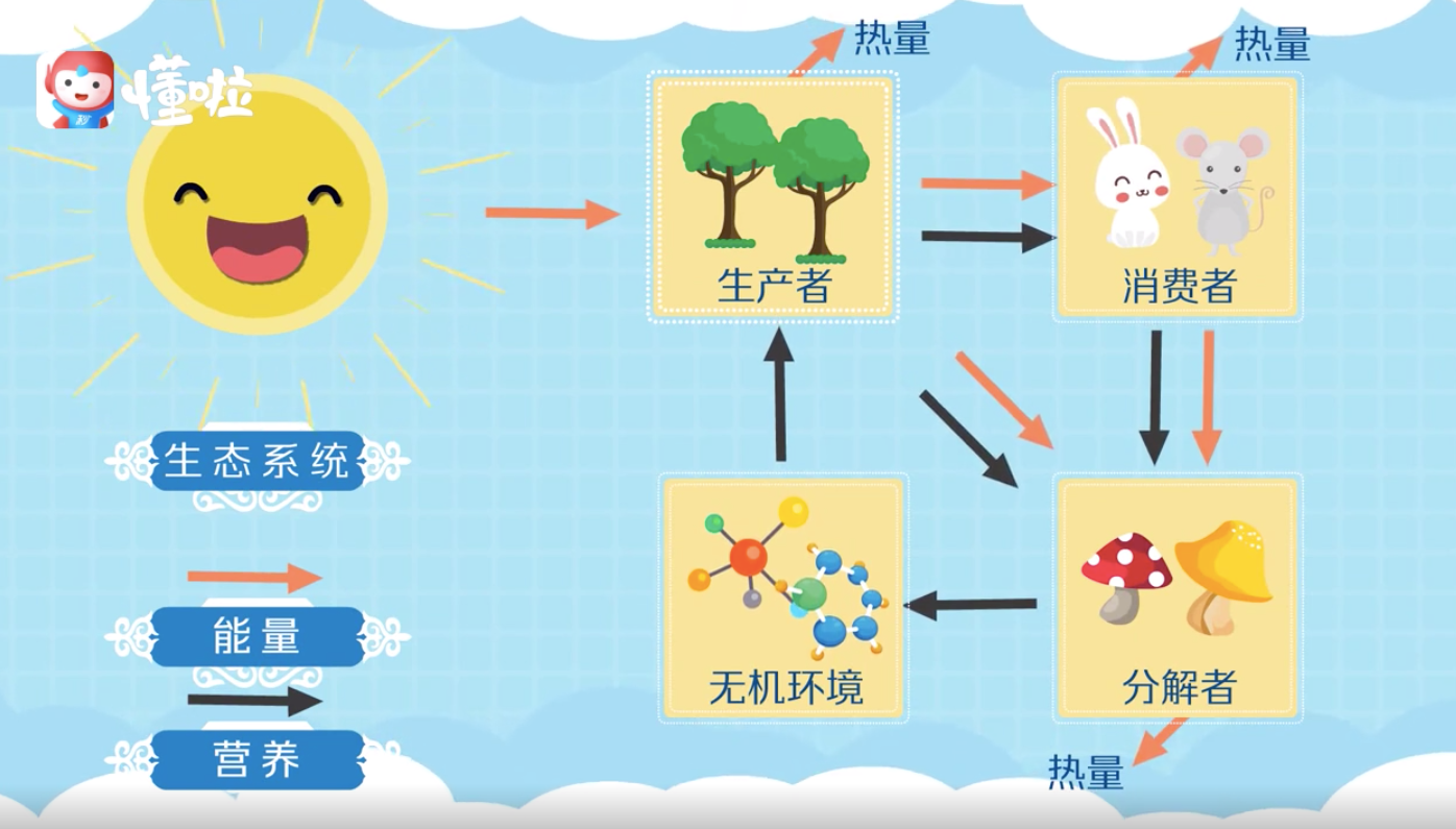 鸟哥笔记,广告营销,慢递先森,营销,策略