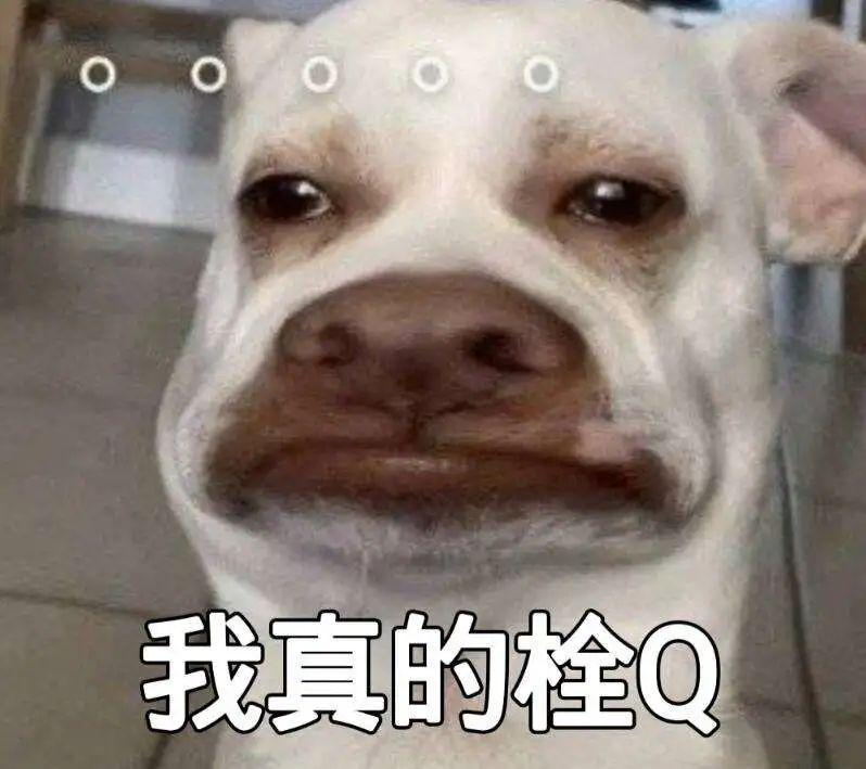 网络热词有哪些？2022网络热词Top30大盘点！