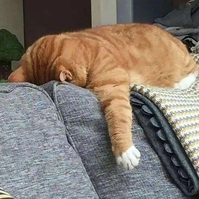 网络热词有哪些？2022网络热词Top30大盘点！