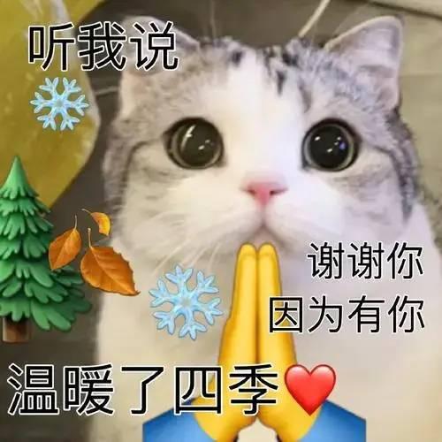 网络热词有哪些？2022网络热词Top30大盘点！