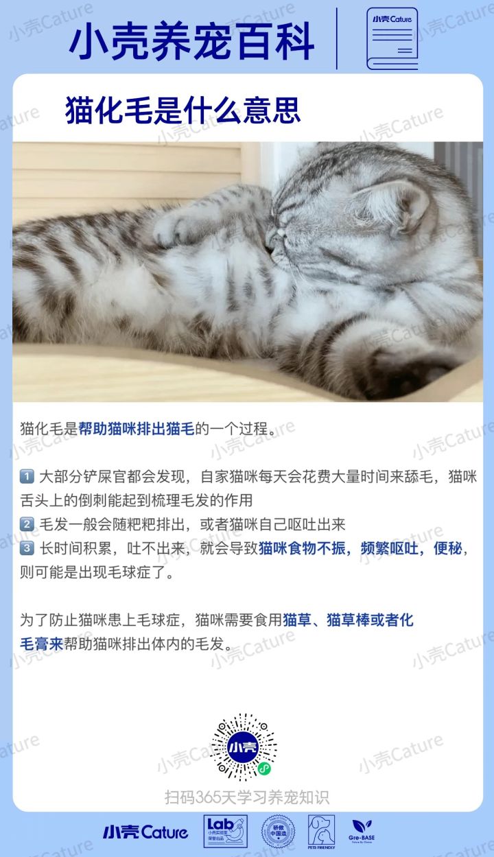 宠物用品行业如何做私域？小壳cature！