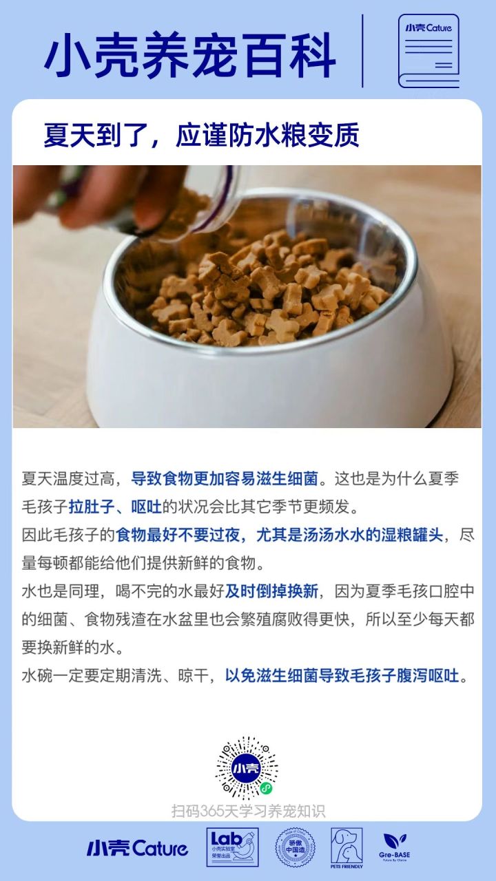 宠物用品行业如何做私域？小壳cature！