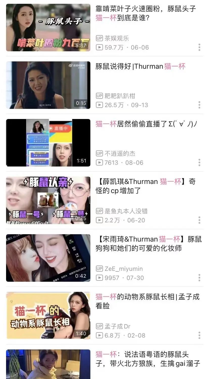 @Thurman猫一杯的抖音、小红书、B站出圈之路！