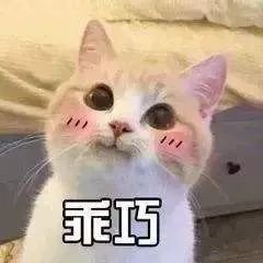 竞价推广：ocpc不好控制？高能优化师也可以试试ecpc