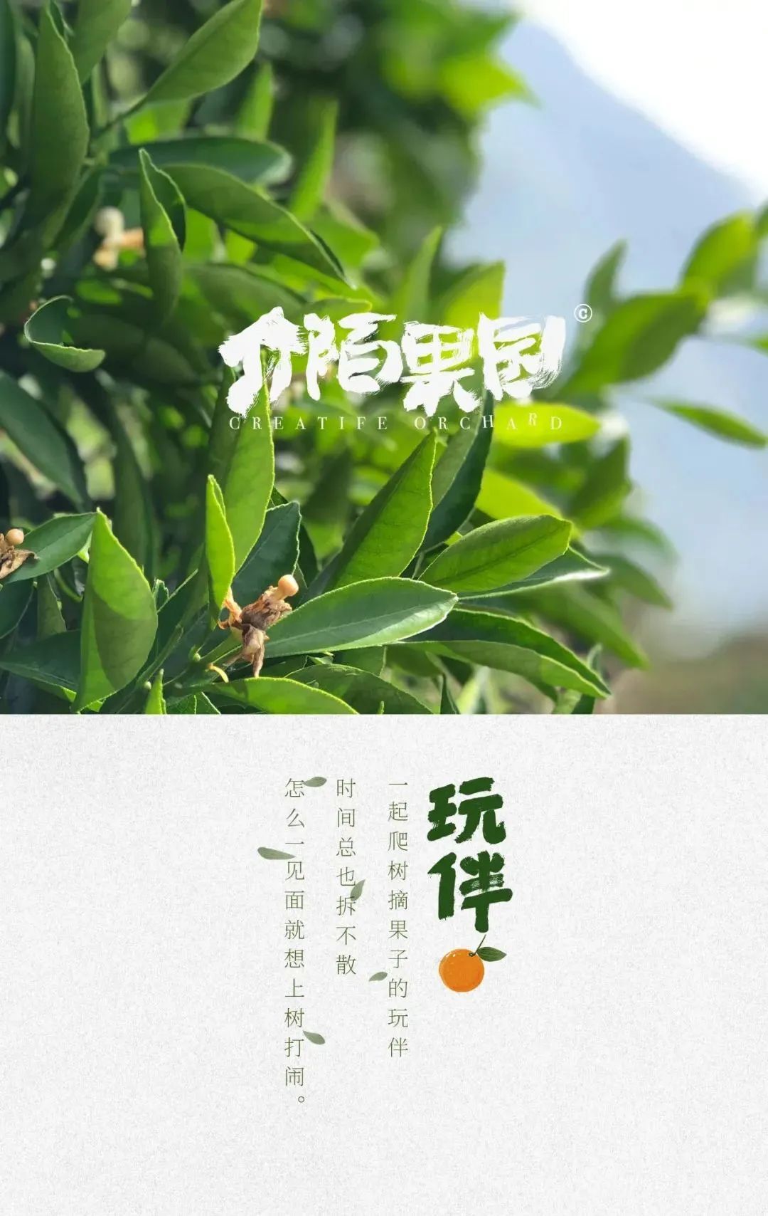 最近怪有启发的8句文案