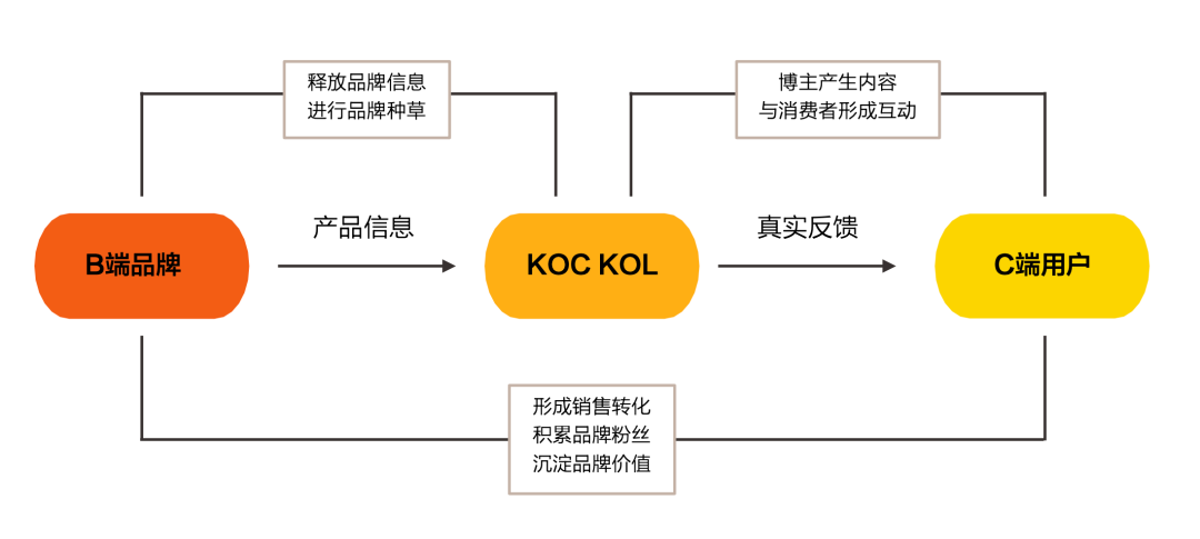 小红书篇|高ROI精准投放实操指南——KOC没有后退可言