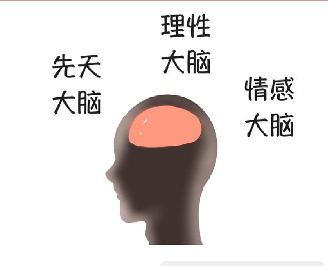 可口可乐启示录：品牌忠诚度，一门可以学得会的玄学