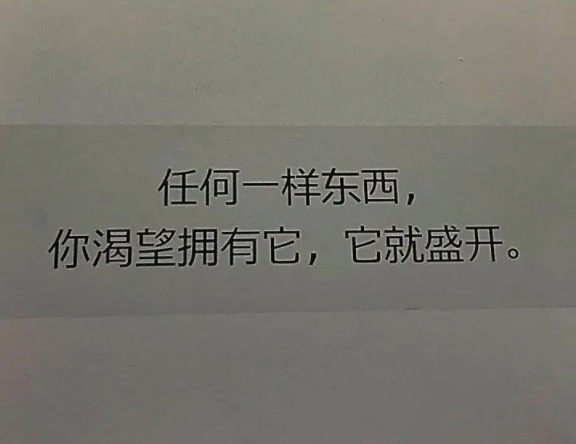 这些文案霸气又治愈，每一句都撞进我心里