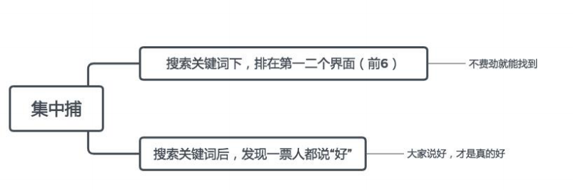 鸟哥笔记,新媒体运营,赵子辰Vic,内容生态,小红书