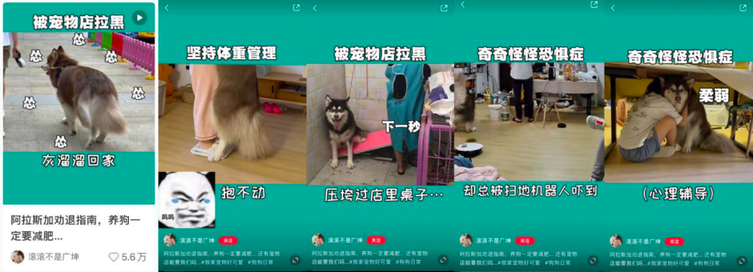 小红书爆款文案分析，手把手教你如何写小红书爆文