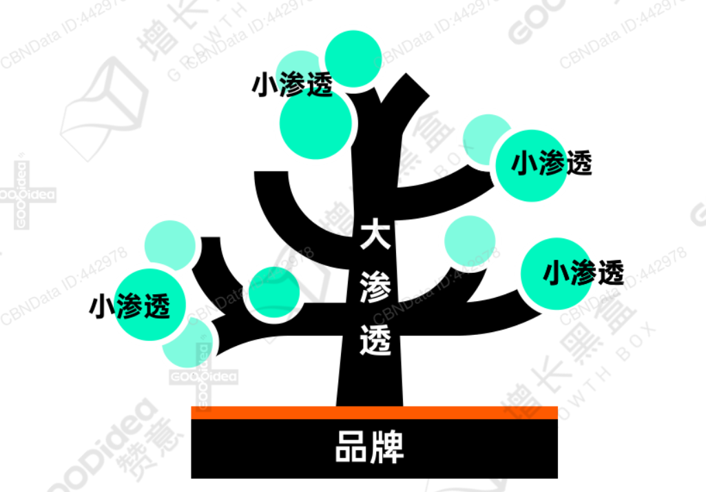 2022最新内容增长战略白皮书，你从中看到了什么？