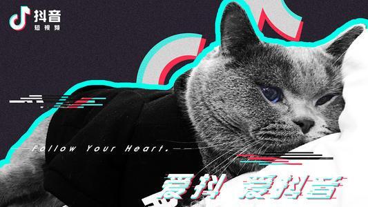 写出优秀的抖音文案的4种方式