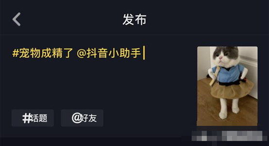 抖音短视频流量池规则解析，盘点你不知道的秘密！