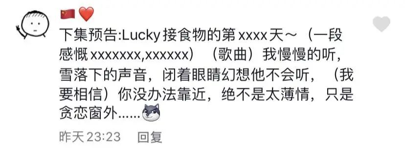 抖音尼可以与lucky“全抖音最傻的狗”他们的出圈故事