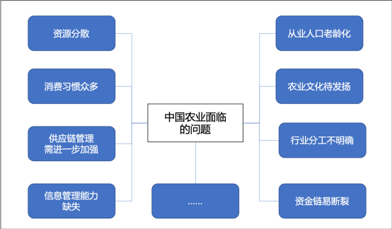 在农业上，拼多多都做了哪些努力？