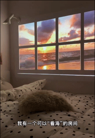 小红书4月爆文，它们的热门思路与技巧大盘点！