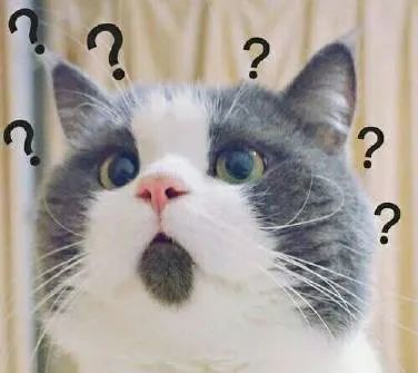 竞价推广：ocpc不好控制？高能优化师也可以试试ecpc