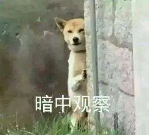竞价推广：ocpc不好控制？高能优化师也可以试试ecpc