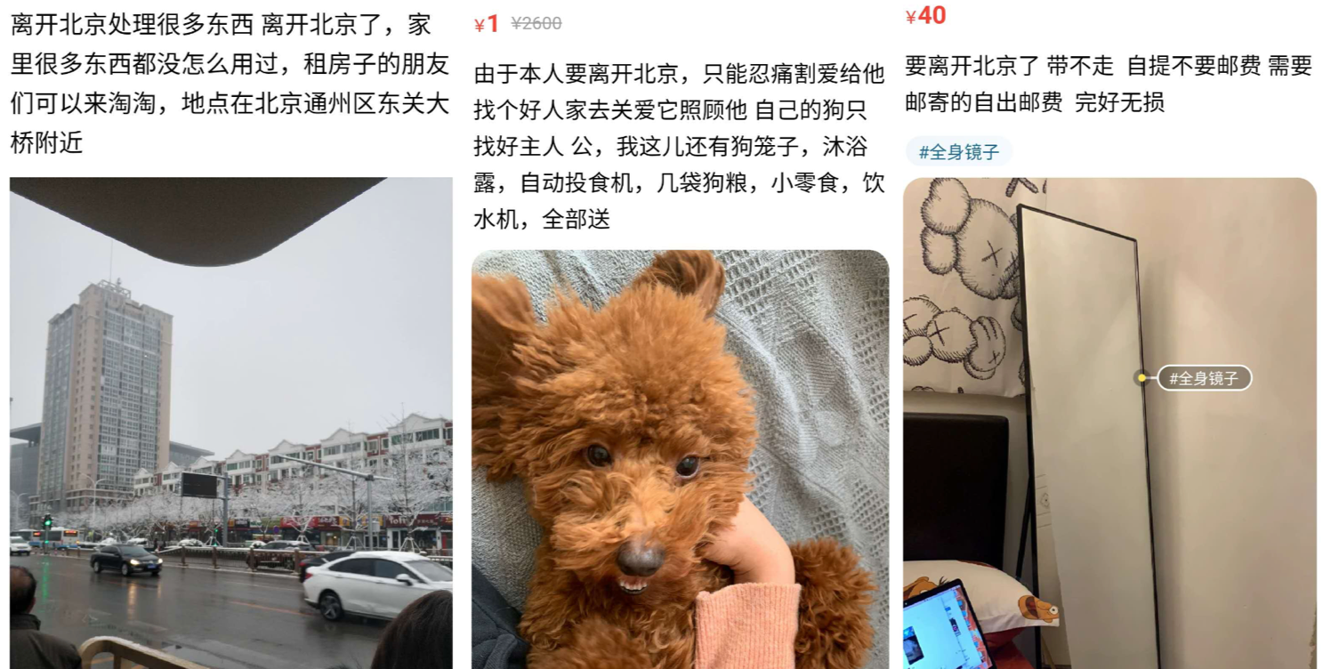 图片 8.png