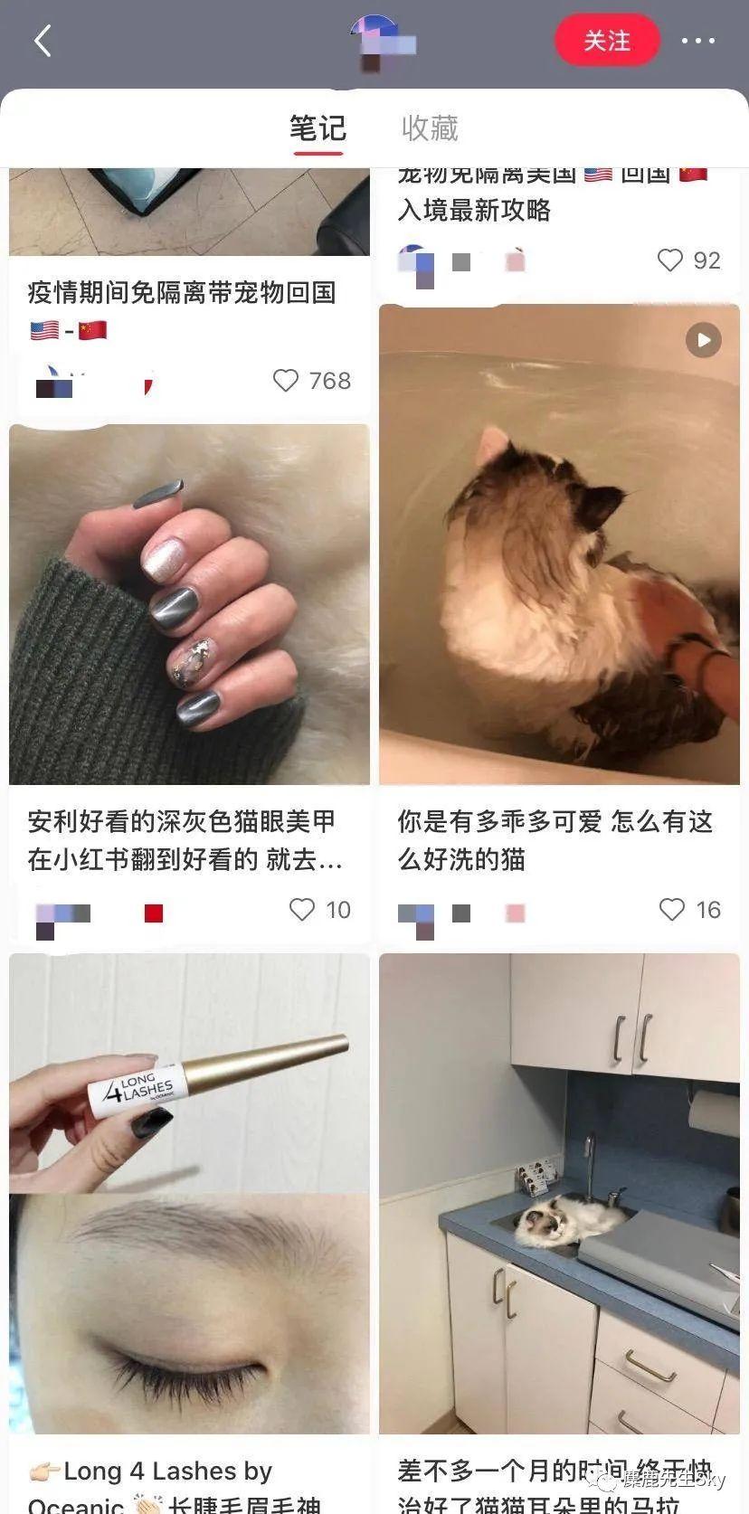 小红书运营技巧：如何一个月小红书涨粉过万