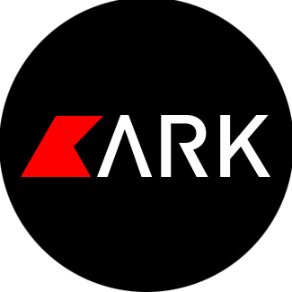 ARK创新咨询的头像