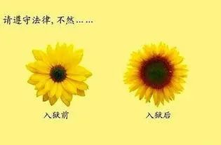 硬核文案——痛过之后，收获很多！