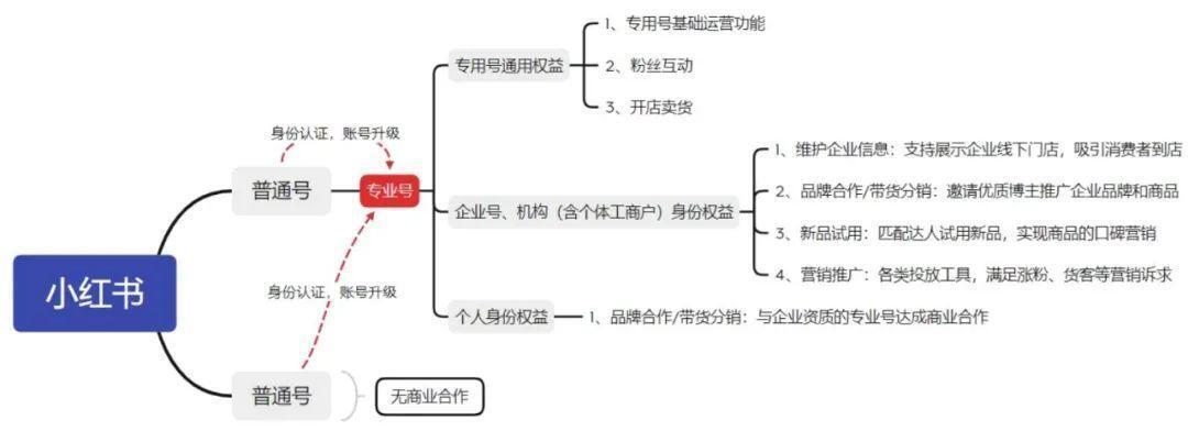 深度解读：小红书重磅新规，品牌如何实现内容与交易正增长？