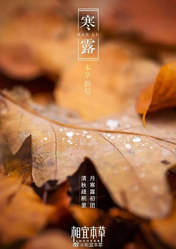 寒露，借势文案、海报在这里！