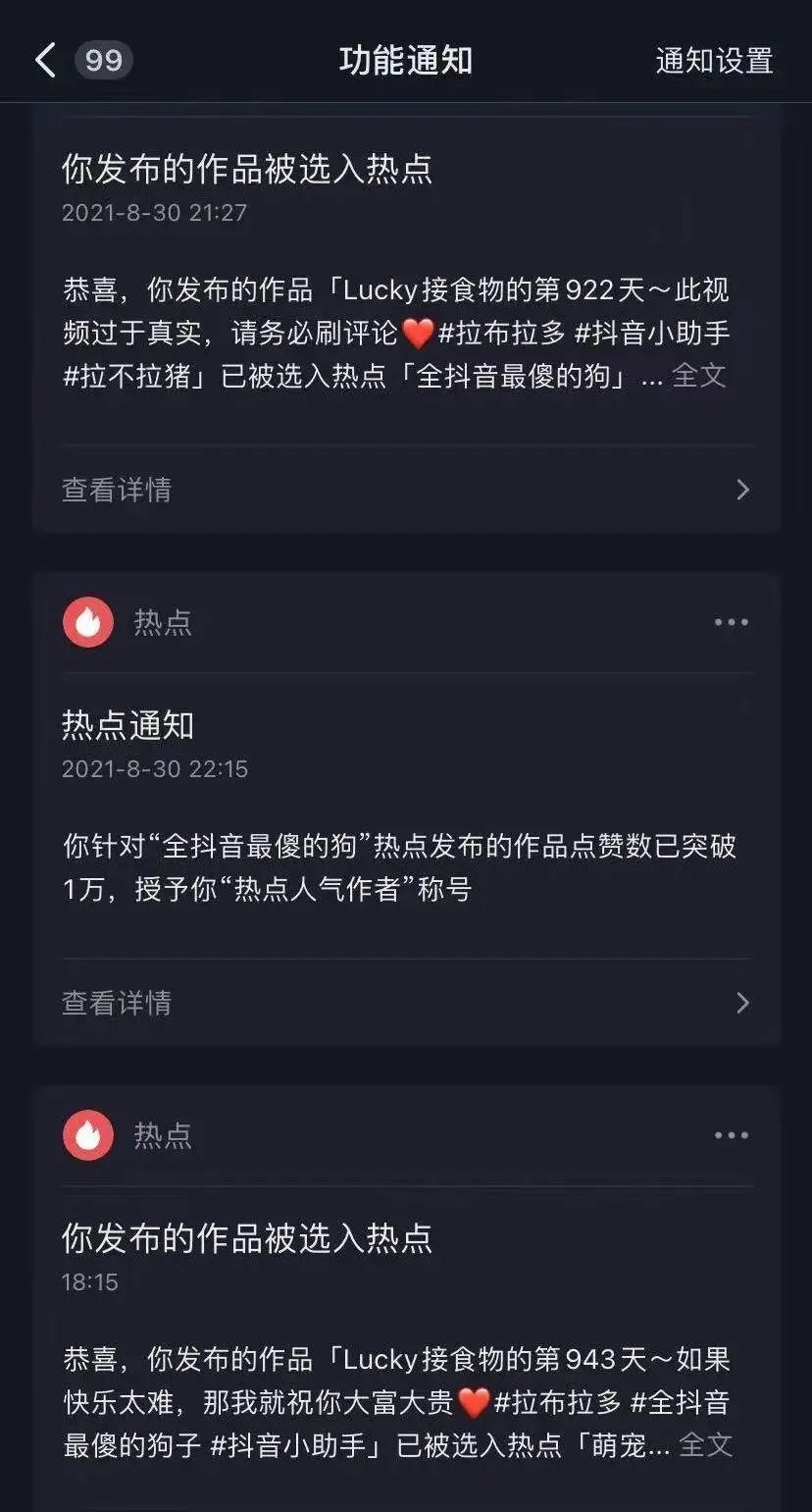 抖音尼可以与lucky“全抖音最傻的狗”他们的出圈故事