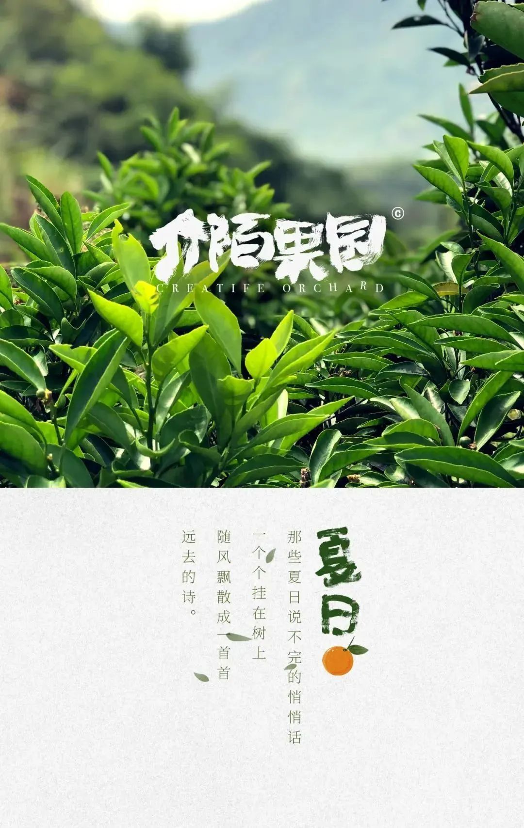 最近怪有启发的8句文案