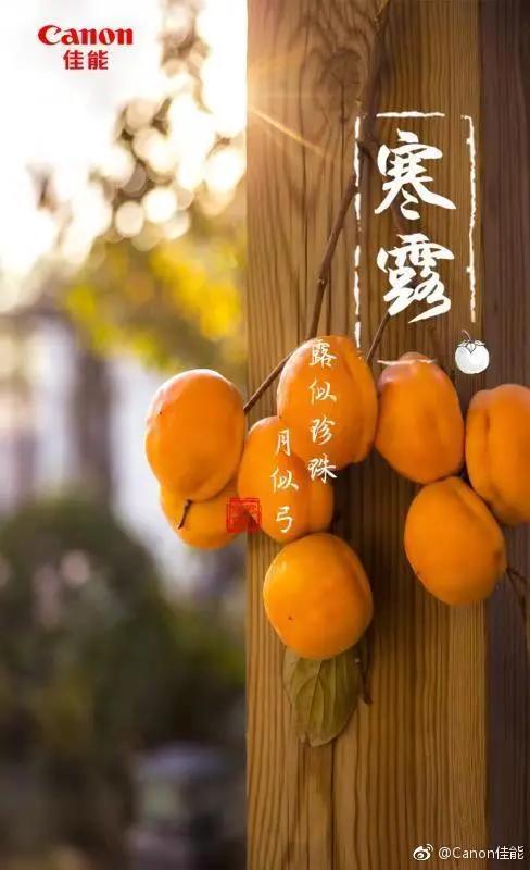 寒露，借势文案、海报在这里！