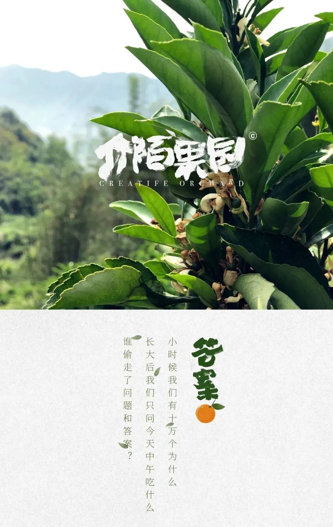 最近怪有启发的8句文案