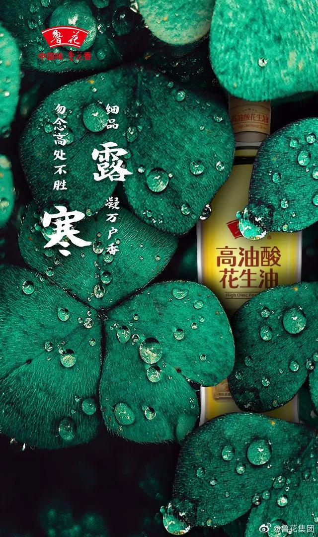 寒露，借势文案、海报在这里！