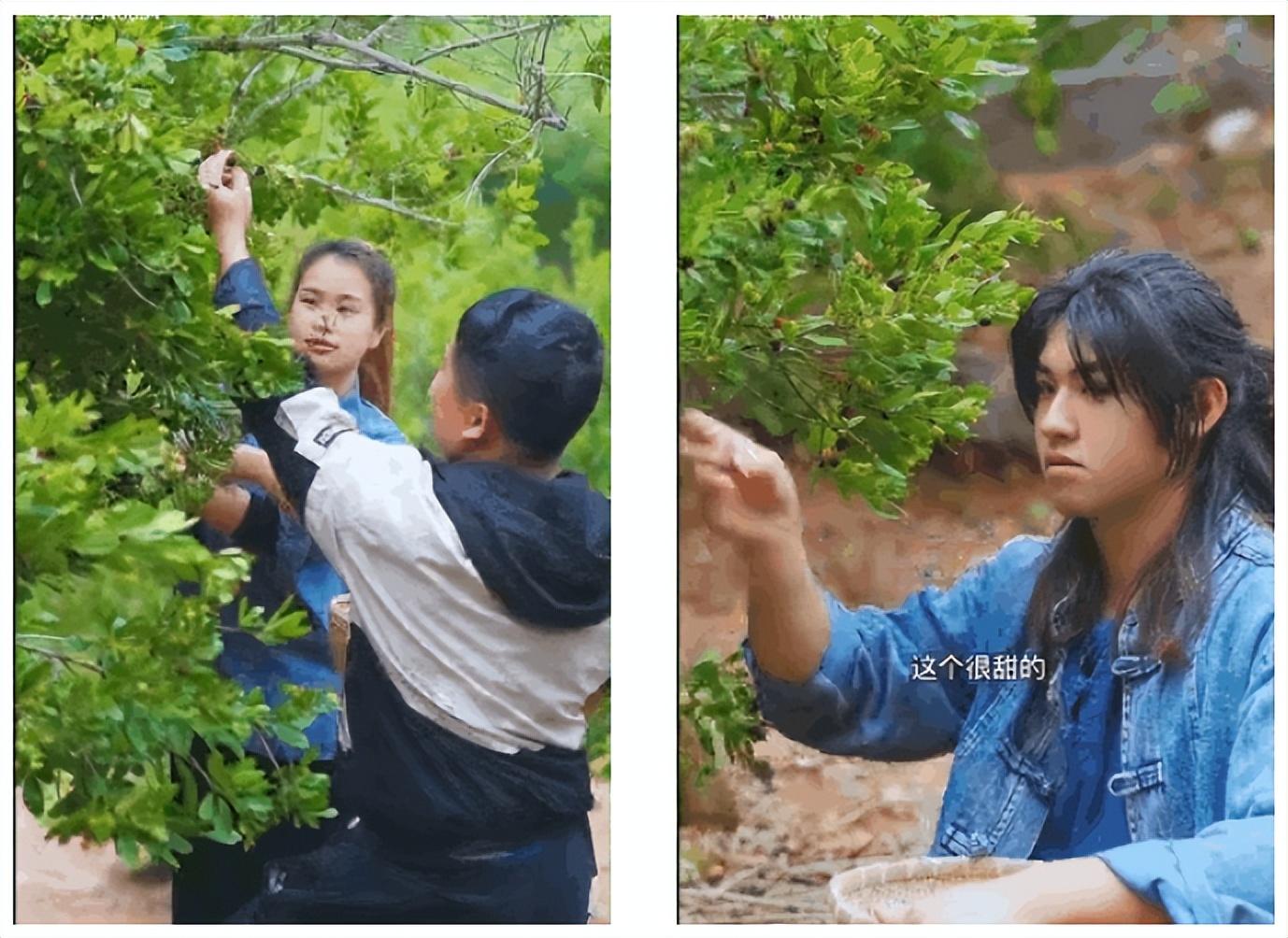 最新流量天花板！@茂茂的乡村生活疯狂收割8000w+播放！