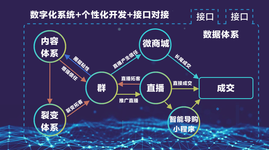 不同的私域流量，运营体系如何设计？