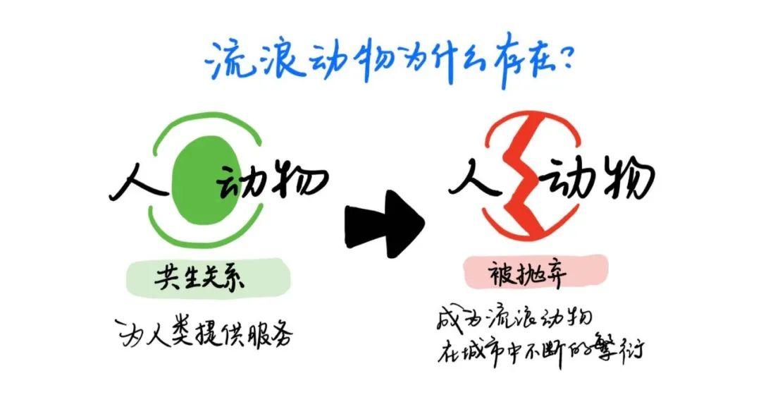 如何用互联网思维解决“流浪动物”问题？