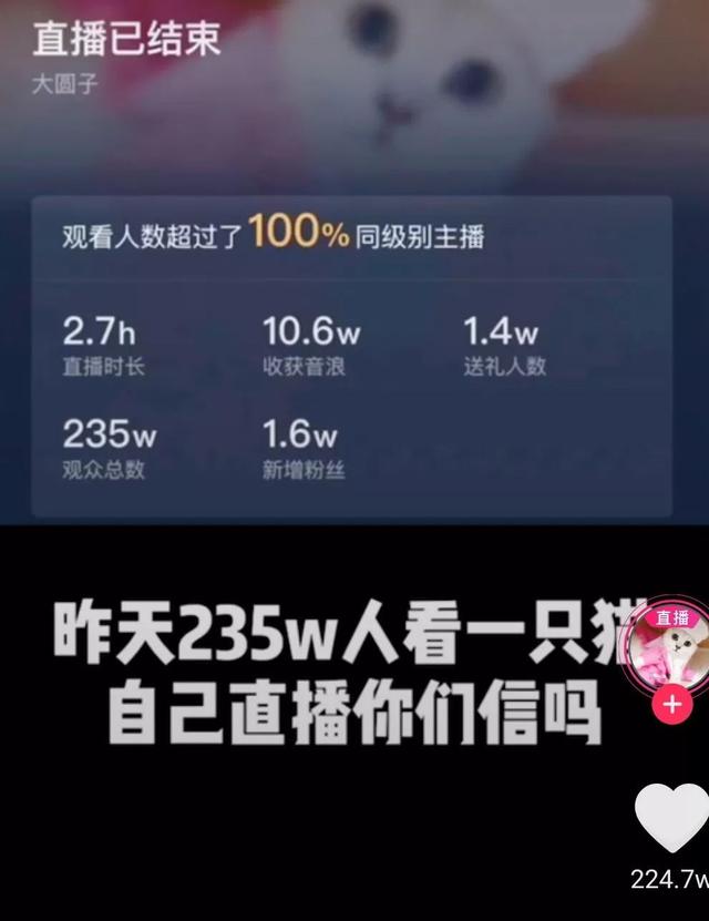 云蹦迪、云睡觉，虚火一场？