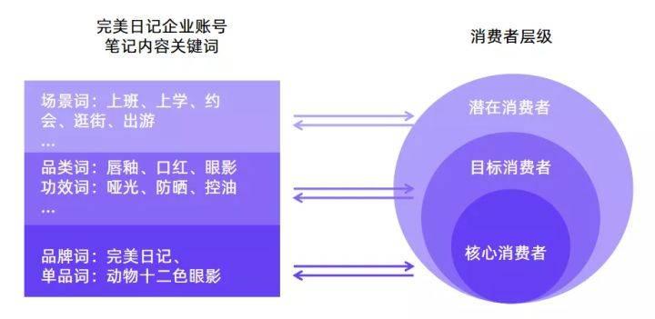 小红书品牌营销攻略一文读懂