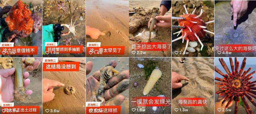 最新流量天花板！@茂茂的乡村生活疯狂收割8000w+播放！