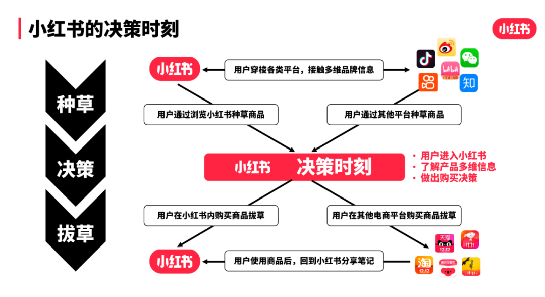 双十一大战一触即发！小红书品牌如何抓住流量密码？