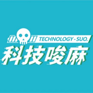 科技唆麻的头像
