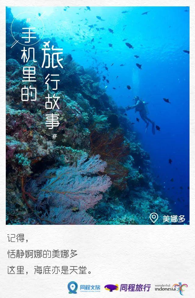 同程旅游的文案过于撩人，看完想辞职了！