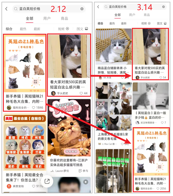小红书爆款笔记背后的流量密码，看完你也能抓住！