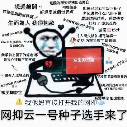 “网抑云”被群嘲后，我都不敢轻易矫情了