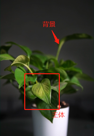 短视频拍摄技巧 | 如何提高视频清晰度？
